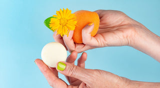 Your Questions, Answered: LaPhase’s Most-Asked FAQs