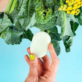 LaPhase | Cosmétiques Solides | Revitalisant en Barre