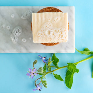 'BYE-BYE SLIPN'SLIDE' Soap Holder