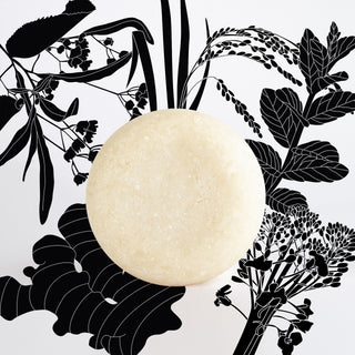 PUMP UP THE VOLUME shampoo bar